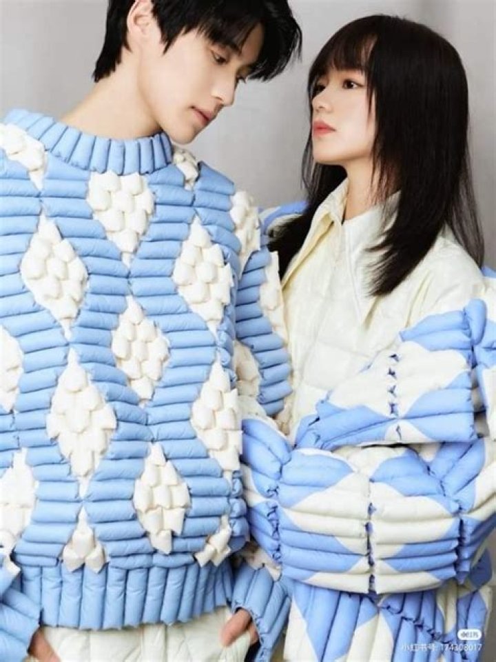 Bian Tian Yang & Jiang Zhi Nan: Exploring Their Relationship