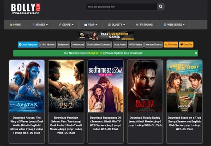 Bollyflix: Stream Bollywood & More - Your Guide!