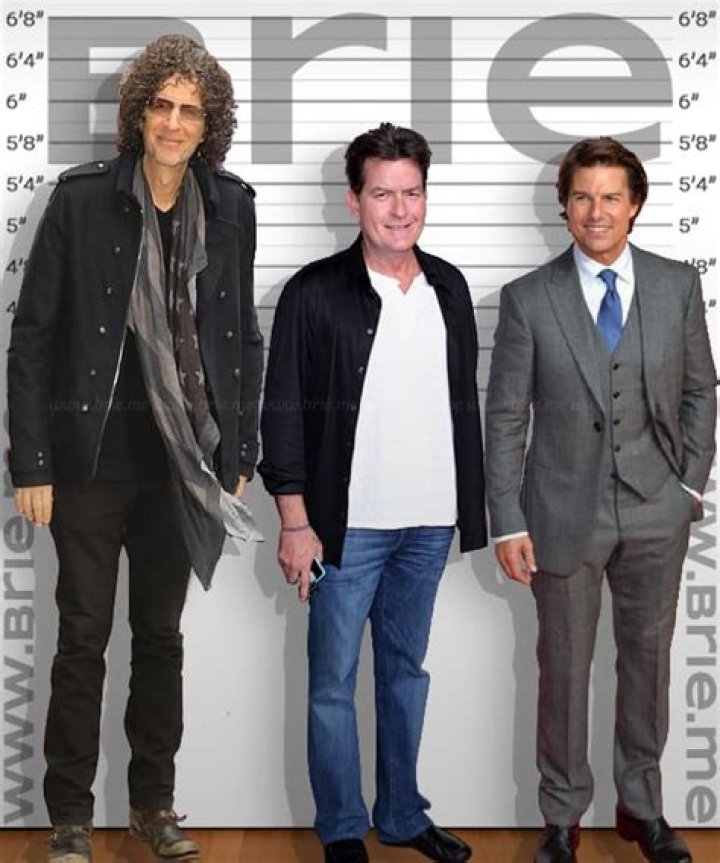 Charlie Sheen Height: How Tall is the Actor Really?