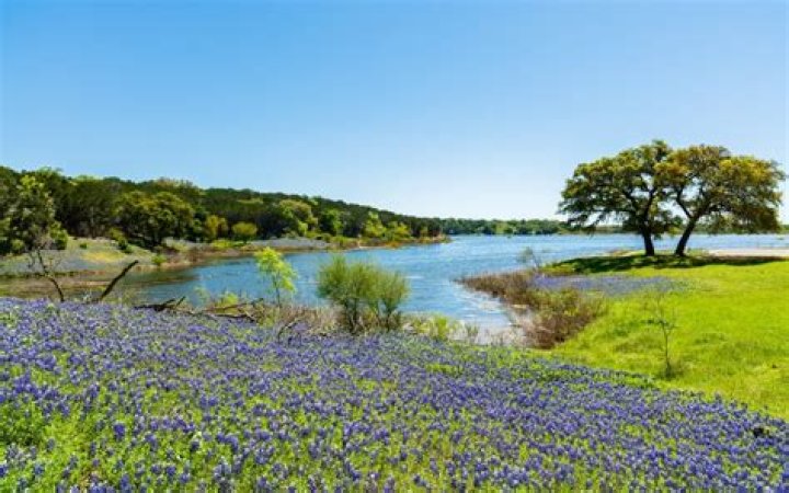 Discover Dripping Springs, TX: Your Ultimate Guide!