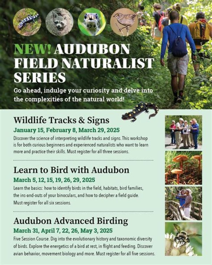 Explore Audubon & Protect Birds: Your Guide + Resources