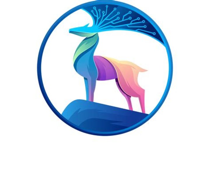 Explore Somali Wasmo Channels on Telegram & More | [Keyword]
