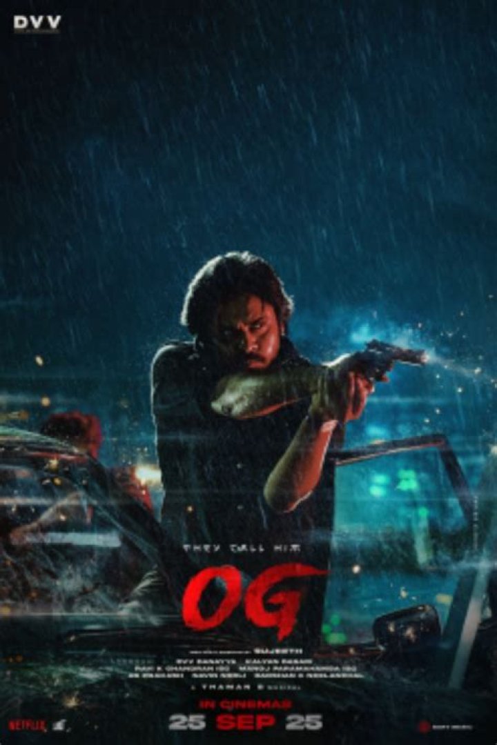Filmyfly: Latest Movies, News & Download - [2024 Updates]