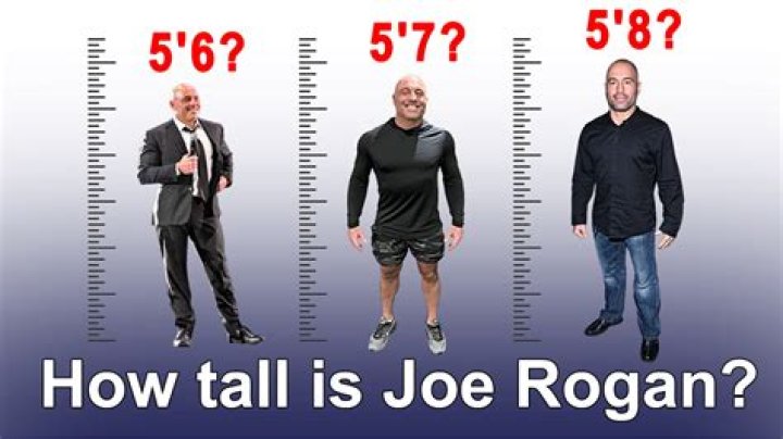 Joe Rogan Height: How Tall Is He Really? Facts & Debate