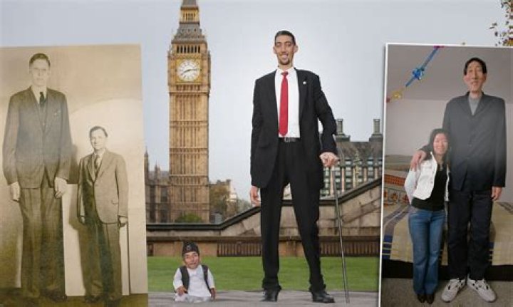 King Charles' Height: How Tall is He? & Royal Comparisons