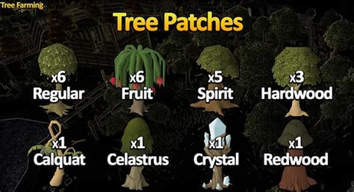 OSRS Fruit Tree Patches: Your Ultimate Guide to Farming Success!